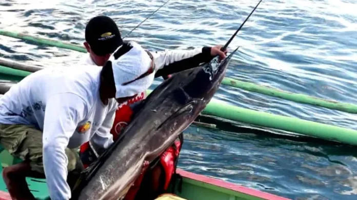 Fishing Tournament 2017