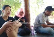 WWF Indonesia Kenalkan Praktik Berwisata Bahari Berkelanjutan WWF Indonesia Kenalkan Praktik Berwisata Bahari Berkelanjutan