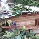 Angin Kencang, Pohon Tumbang Timpa Rumah Warga di Gunung Jati Angin Kencang, Pohon Tumbang Timpa Rumah Warga di Gunung Jati
