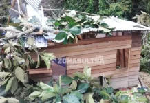 Angin Kencang, Pohon Tumbang Timpa Rumah Warga di Gunung Jati Angin Kencang, Pohon Tumbang Timpa Rumah Warga di Gunung Jati