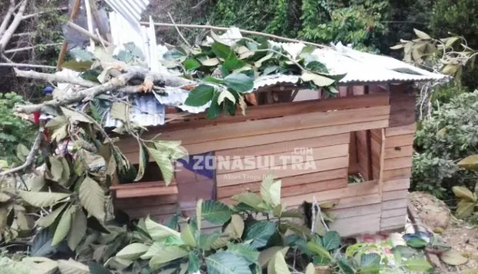 Angin Kencang, Pohon Tumbang Timpa Rumah Warga di Gunung Jati