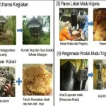 Dosen UHO Berikan Pendampingan Budidaya Lebah Madu ke Masyarakat Dosen UHO Berikan Pendampingan Budidaya Lebah Madu ke Masyarakat