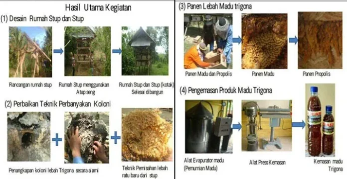 Dosen UHO Berikan Pendampingan Budidaya Lebah Madu ke Masyarakat