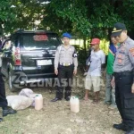 Operasi Cipkon di Mubar, Polsek Lawa Amankan Puluhan Liter Miras Tradisional Operasi Cipkon di Mubar, Polsek Lawa Amankan Puluhan Liter Miras Tradisional