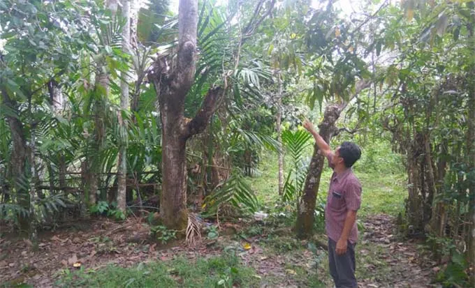 Kisah Agus, Mencium Anak dan Istri Sebelum Mengakhiri Hidupnya