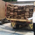 Polres Konawe Amankan Dua Truk Kayu Ilegal Polres Konawe Amankan Dua Truk Kayu Ilegal