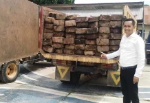 Polres Konawe Amankan Dua Truk Kayu Ilegal Polres Konawe Amankan Dua Truk Kayu Ilegal