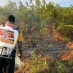 Akibat Puntung Rokok, 30 Hektar Hutan di Buton Terbakar Akibat Puntung Rokok, 30 Hektar Hutan di Buton Terbakar
