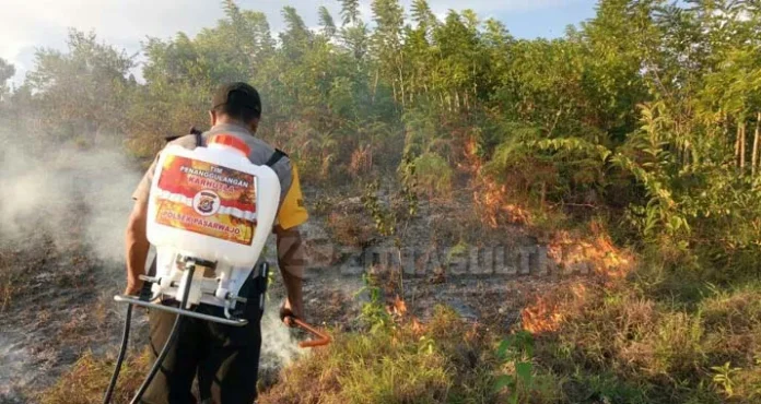 Akibat Puntung Rokok, 30 Hektar Hutan di Buton Terbakar