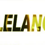 LPSE Mubar Berikan Bimtek Lelang Barang dan Jasa pada SKPD ilustrasi lelang barang dan jasa