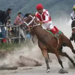 Jaga Atmosfer Wisata Perbatasan, Timor Tengah Utara Gelar Lomba Pacuan Kuda ilustrasi pacuan kuda