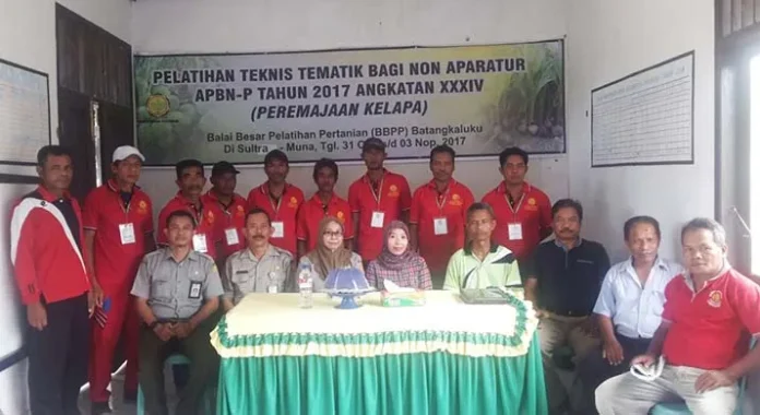 10 Petani Kelapa di Muna Difasilitasi Peremajaan Kelapa Seluas 300 Hektar