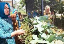Wundudopi dan Purirano Wakili Kota Kendari di Lomba PKK Terpadu Tingkat Provinsi Wundudopi dan Purirano Wakili Kota Kendari di Lomba PKK Terpadu Tingkat Provinsi