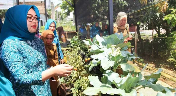 Wundudopi dan Purirano Wakili Kota Kendari di Lomba PKK Terpadu Tingkat Provinsi