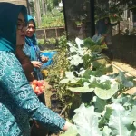 Ketua TP PKK Kota Kendari Ajak Warga Kembangkan Toga di Pekarangan Ketua TP PKK Kota Kendari Ajak Warga Kembangkan Toga di Pekarangan