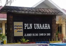 PLN Unaaha Genjot Program Listrik Desa PLN Unaaha
