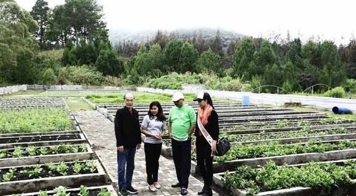 Keindahan Taman Simalem Resort Bius Menpar Arief Yahya