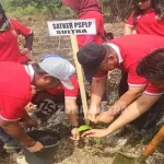Hari Bakti PU ke 72, Kementerian PUPR Tanam Seribu Pohon di Anggotoa Hari Bakti PU ke 72, Kementerian PUPR Tanam Seribu Pohon di Anggotoa
