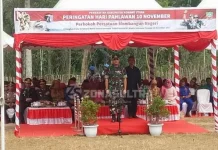 Peringati Hari Pahlawan, Pemda Konut Salurkan Bantuan di Desa Watu Wula Peringati Hari Pahlawan, Pemda Konut Salurkan Bantuan di Desa Watu Wula