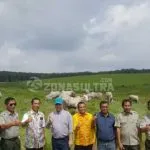 Wabup Konsel Belajar Kelola Padang Pengembangan Sapi Unggul di Palembang Wabup Konsel Belajar Kelola Padang Pengembangan Sapi Unggul di Palembang
