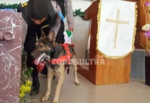 Libatkan Anjing Pelacak, Pasukan Jibom Sterilisasi Gereja di Kendari Libatkan Anjing Pelacak, Pasukan Jibom Sterilisasi Gereja di Kendari