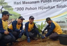 ANTAM UBPN Sultra Gelar Aksi Gerakan 300 pohon Hijaukan Desa Totobo ANTAM UBPN Sultra Gelar Aksi Gerakan 300 pohon Hijaukan Desa Totobo