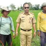 Distan Bombana Target Produksi Padi Capai 145 Ribu Ton pada 2022 Distan Bombana Target Produksi Padi Capai 145 Ribu Ton pada 2022