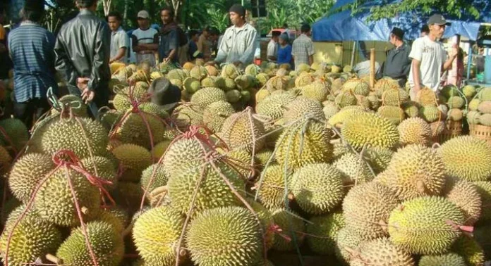 durian
