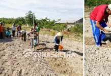 KUB Gempita Mepokoaso Kendari Siap Jadi Pelopor Petani Modern KUB Gempita Mepokoaso Kendari Siap Jadi Pelopor Petani Modern