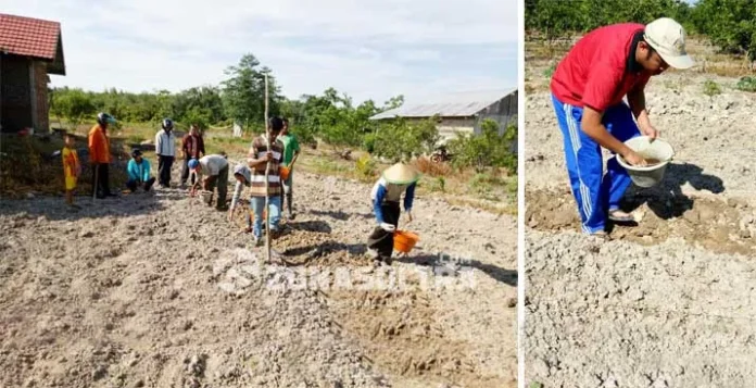 KUB Gempita Mepokoaso Kendari Siap Jadi Pelopor Petani Modern