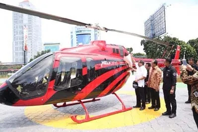 Wonderful Joy Flight