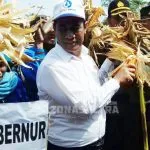 Kunjungi Koltim, Menteri Pertanian Panen Jagung dan Tanam Kakao Kunjungi Koltim, Menteri Pertanian Panen Jagung dan Tanam Kakao