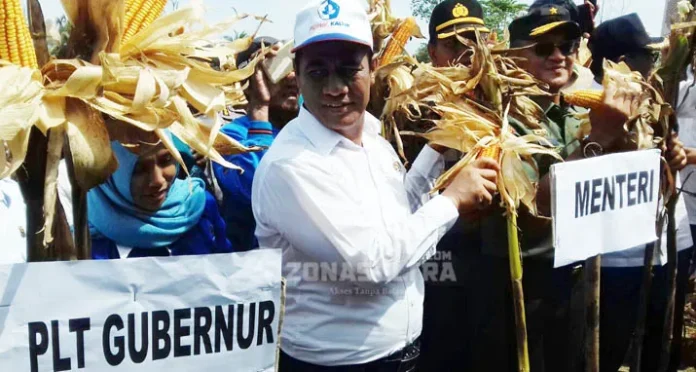 Kunjungi Koltim, Menteri Pertanian Panen Jagung dan Tanam Kakao