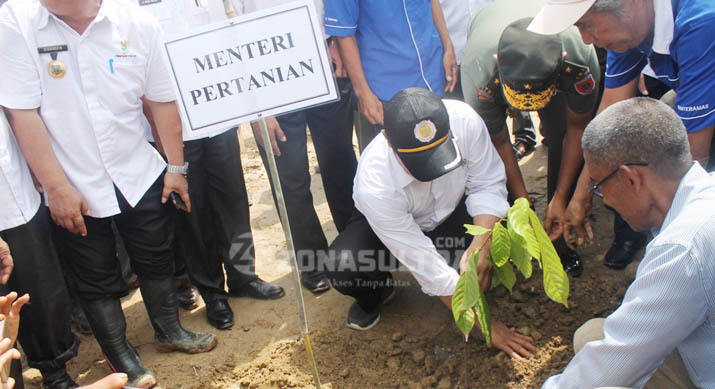 Kunjungi Koltim, Menteri Pertanian Panen Jagung dan Tanam Kakao 