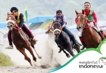 Pacuan Kuda Crossborder Sukses Promosikan Destinasi Wisata di TTU ilustrasi_pacuan_kuda