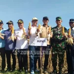 Jadikan Lumbung Jagung, Pemda Konsel Siapkan Bantuan Benih dan Saprona Jadikan Lumbung Jagung, Pemda Konsel Siapkan Bantuan Benih dan Saprona