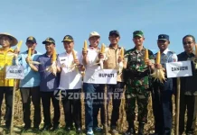 Jadikan Lumbung Jagung, Pemda Konsel Siapkan Bantuan Benih dan Saprona Jadikan Lumbung Jagung, Pemda Konsel Siapkan Bantuan Benih dan Saprona