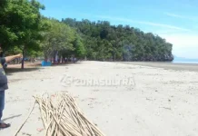 Jelang HUT Konut, Dispar Mulai Benahi Pantai Taipa Jelang HUT Konut, Dispar Mulai Benahi Pantai Taipa