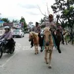 Pastikan Keamanan, Pejabat Polres Muna Patroli Berkuda Keliling Kota Raha Pastikan Keamanan, Pejabat Polres Muna Patroli Berkuda Keliling Kota Raha