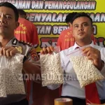 Dua Tersangka Pengedar PCC di Kendari Ditangkap, Polisi Amankan 5.076 Butir PCC Siap Edar Dua Tersangka Pengedar PCC di Kendari Ditangkap, Polisi Amankan 5.076 Butir PCC Siap Edar