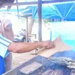 HUT Konut Ke 11, Dongkrak Perekonomian Warga HUT Konut Ke 11, Dongkrak Perekonomian Warga