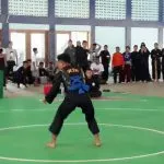 pencak silat