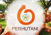 Lestarikan Hutan, Perhutani Gandeng Dunia Pariwisata Lestarikan Hutan, Perhutani Gandeng Dunia Pariwisata