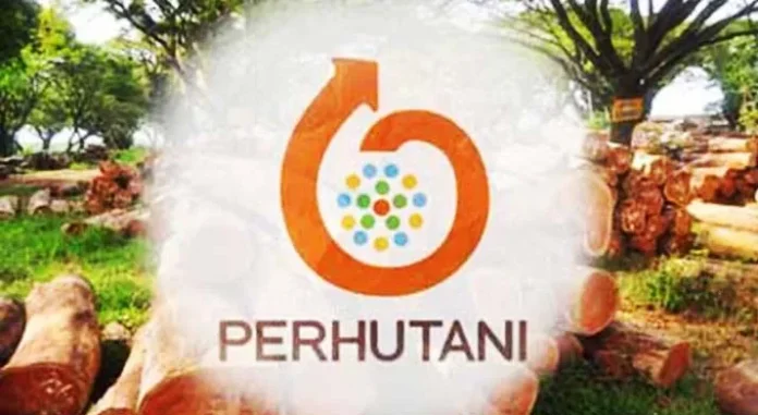 Lestarikan Hutan, Perhutani Gandeng Dunia Pariwisata