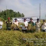 petani_uepay1