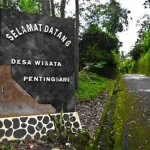 Long Weekend, Desa Wisata Pentingsari Kebanjiran Tamu Desa Wisata Pentingsari