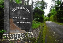 Long Weekend, Desa Wisata Pentingsari Kebanjiran Tamu Desa Wisata Pentingsari