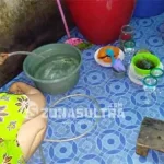 Derita Warga Desa Walai di Konawe, Mencari Air Bersih di Lereng Gunung Derita Warga Desa Walai di Konawe, Mencari Air Bersih di Lereng Gunung