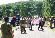 Masyarakat Napabalano Desak Pemkab Muna Hentikan Aktifitas PT Sele Raya Agri Masyarakat Napabalano Desak Pemkab Muna Hentikan Aktifitas PT Sele Raya Agri