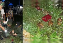 Korem 143/Halu Oleo Selidiki Asal Muasal Granat Nenas Temuan Seorang Pemulung Korem 143/Halu Oleo Selidiki Asal Muasal Granat Nenas Temuan Seorang Pemulung
